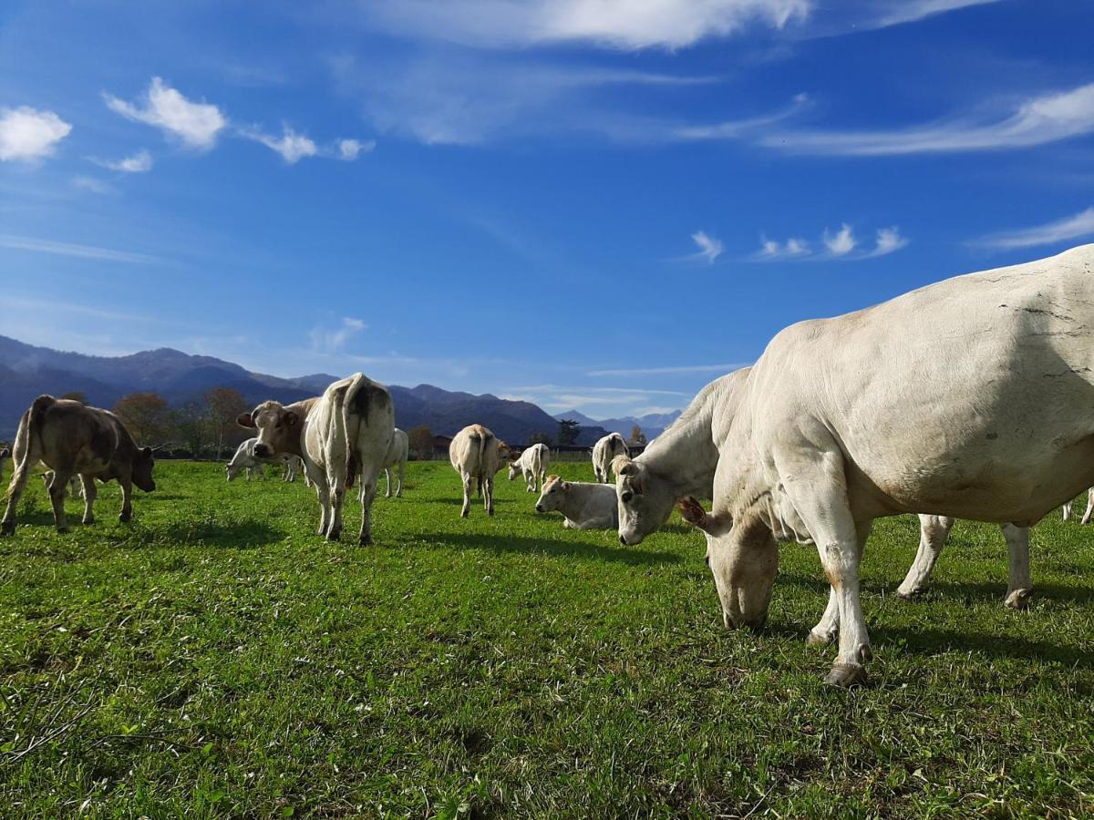 Agriturismo Fior Di Campo Dronero Eksteriør bilde