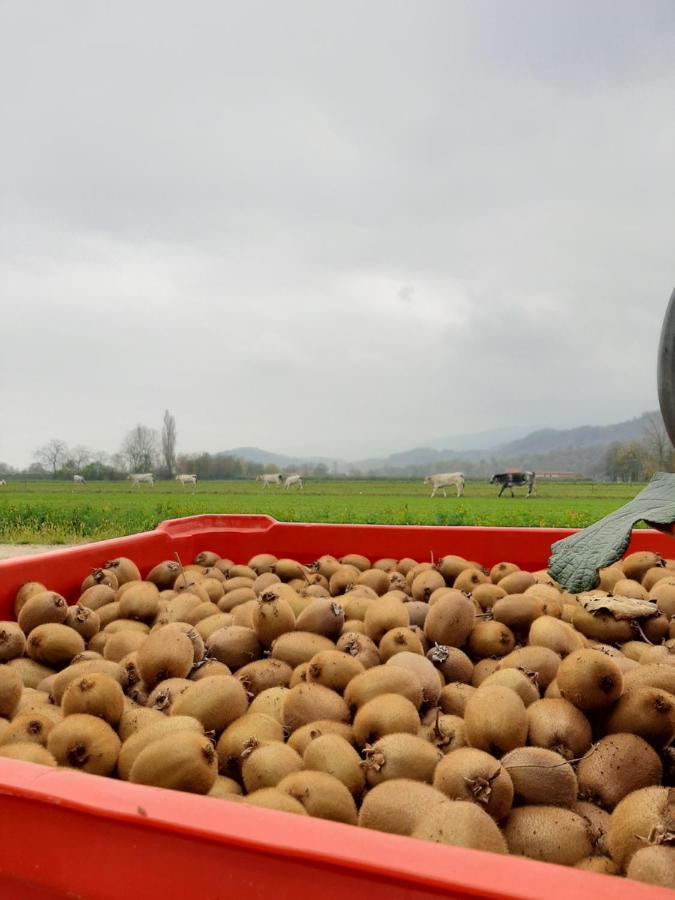 Agriturismo Fior Di Campo Dronero Eksteriør bilde