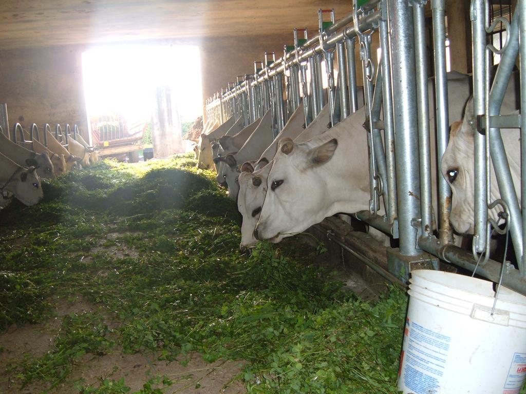 Agriturismo Fior Di Campo Dronero Eksteriør bilde