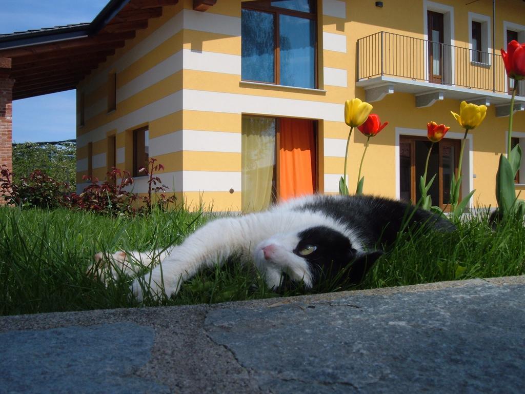 Agriturismo Fior Di Campo Dronero Eksteriør bilde
