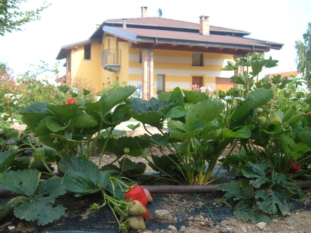 Agriturismo Fior Di Campo Dronero Eksteriør bilde